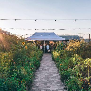 GRO Spiseri and rooftop farm in Østerbro