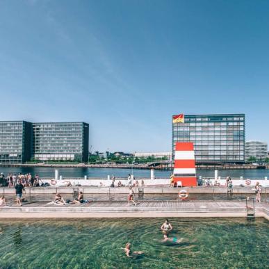 Swim in the harbour in the middle of Copenhagen