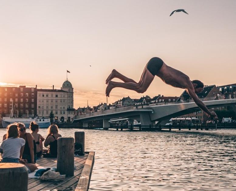 Dive into the harbour